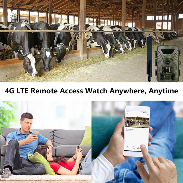 4G LTE Wildcamera met App – 4K Video & 60MP Foto’s – Nachtzicht – IP66 Waterdicht