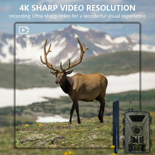 4G LTE Wildcamera met App – 4K Video & 60MP Foto’s – Nachtzicht – IP66 Waterdicht
