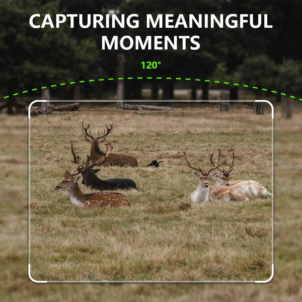 4G LTE Wildcamera met App – 4K Video & 60MP Foto’s – Nachtzicht – IP66 Waterdicht